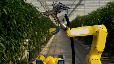 Сельскохозяйственные роботы